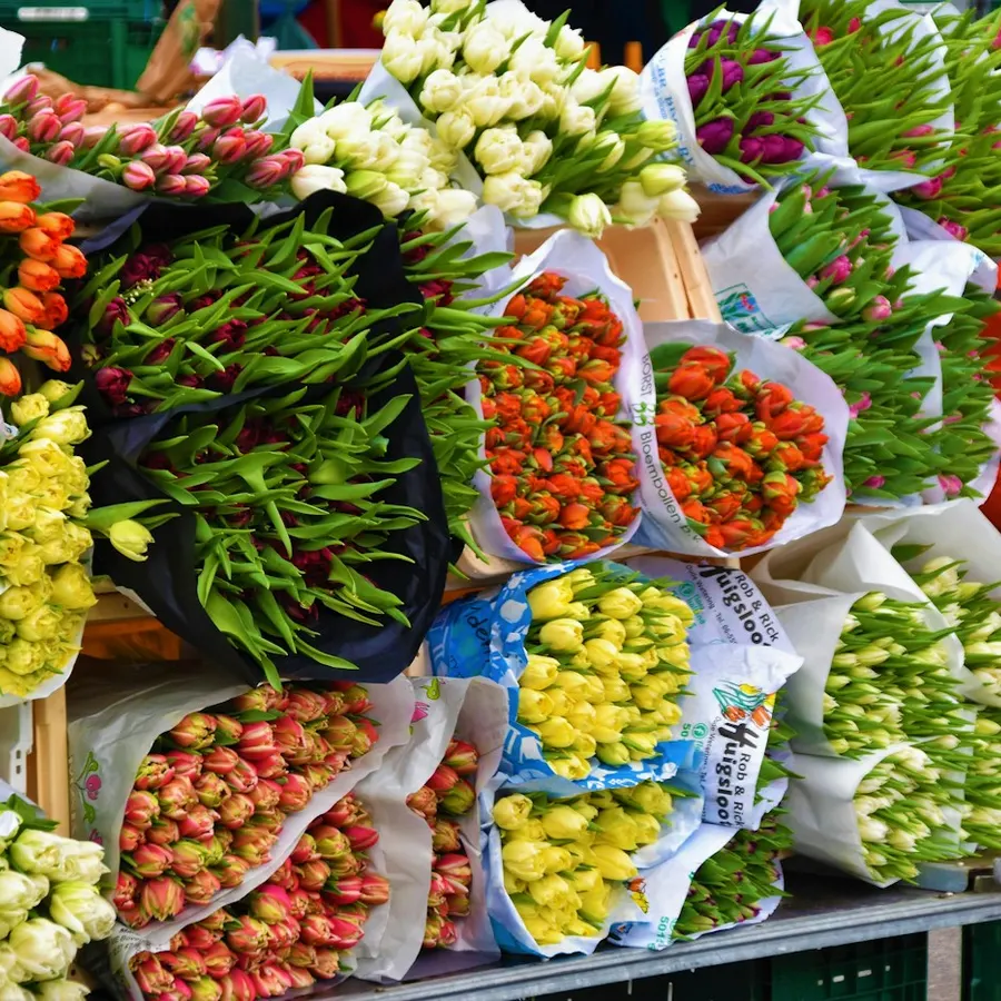 Seasonal flowers