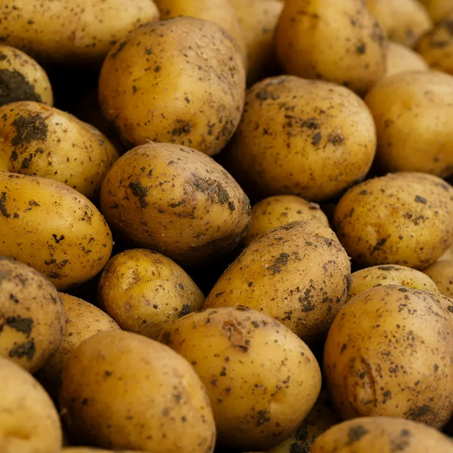 New potatoes