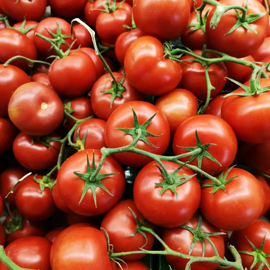 Salad tomatoes